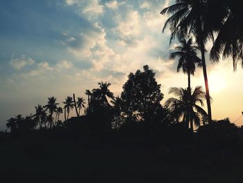 Low angle view of silhouette trees against sky during sunset