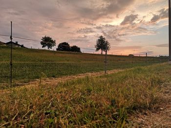 Scenic view of field against sky during sunset