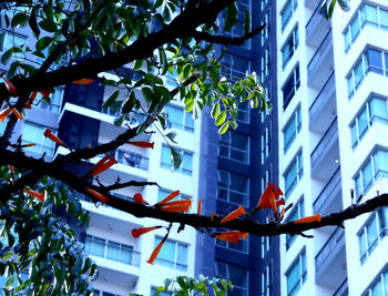 Low angle view of building