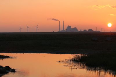 Sunset in the wetlands in amager nature park.