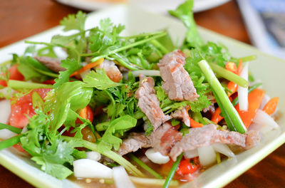 Close-up of salad served in plate