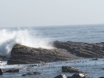 Scenic view of sea against clear sky