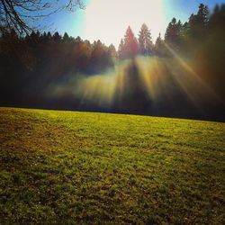 Scenic view of field against sky during sunset