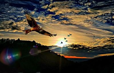 Bird flying over sea against sky during sunset