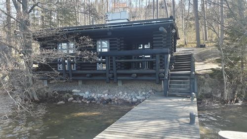 View of bridge in forest