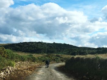 Rear view of people walking on road against sky