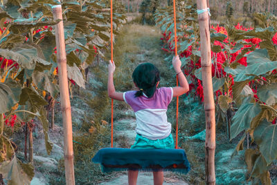 Rear view of girl sitting in swing in farm