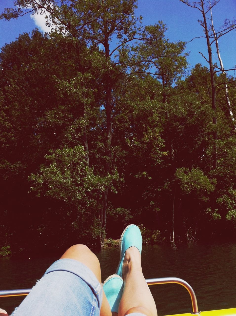 low section, personal perspective, person, tree, lifestyles, human foot, leisure activity, part of, shoe, men, unrecognizable person, relaxation, sunlight, growth, day, legs crossed at ankle