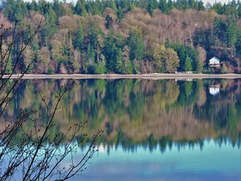 Reflection of trees on calm lake