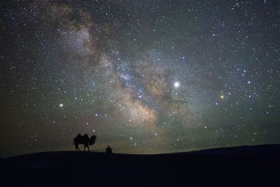 Silhouette of people against star field at night