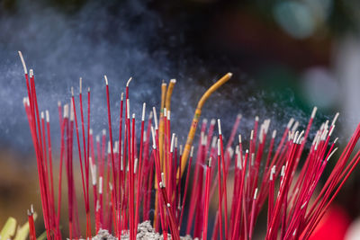 Close-up of burning candles in temple