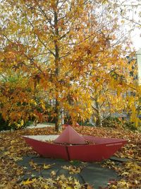 Scenic view of park during autumn