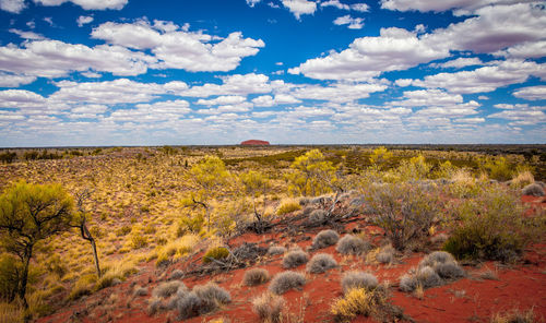 Scenic view of landscape against cloudy sky