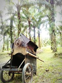 Abandoned car on road