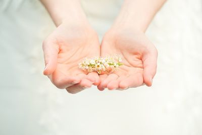 Close-up of hand holding leaf