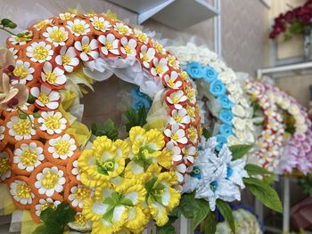 Close-up of multi colored flower plant for sale in market