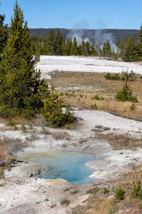 Brilliant blue thermal pool in west thumb basin in yellowstone national park