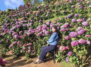 Woman sitting by pink flowering plants outdoors