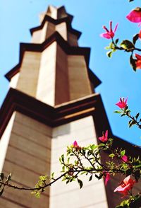 Low angle view of flowers