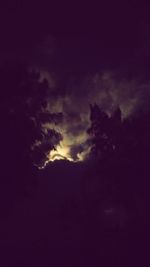 Low angle view of tree against sky at night