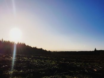 Scenic view of field against clear sky during sunset