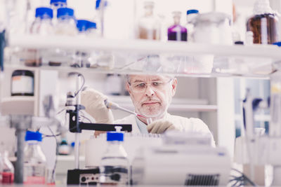 Scientist working in laboratory