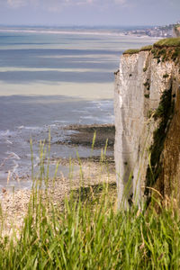 Scenic view of beach and sea