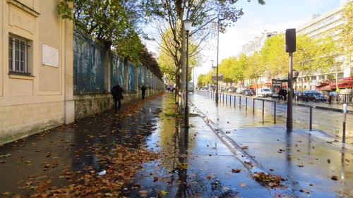 Wet street amidst trees during rainy season