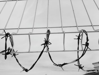 Low angle view of barbed wire against sky