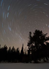 Trees against sky at night