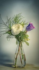 Close-up of flowers in vase