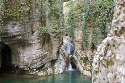 Scenic view of waterfall in forest