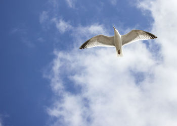 Low angle view of cloudy sky