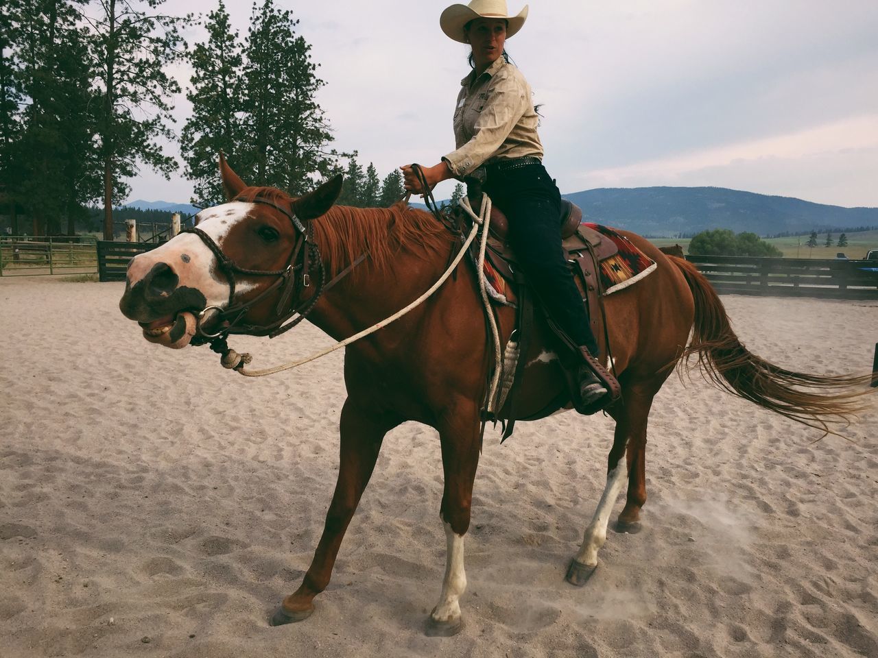 horse, domestic animals, animal themes, mammal, working animal, livestock, horseback riding, one animal, standing, herbivorous, sky, bridle, full length, two animals, riding, lifestyles, camel, sunlight