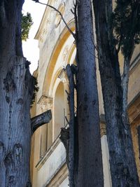 Low angle view of historic building