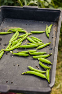 Close-up of chili peppers on table