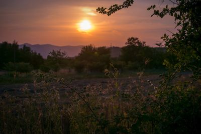 Scenic view of field against sky during sunset