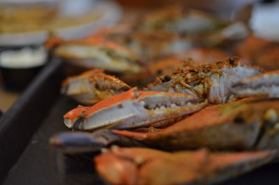 Close-up of fish for sale