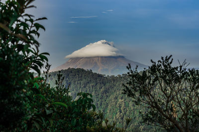 Scenic view of mountain against sky