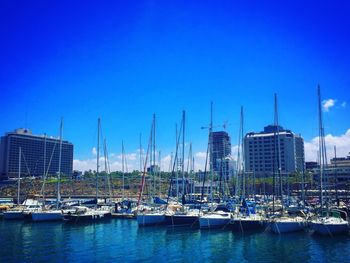 Sailboats moored at harbor against blue sky