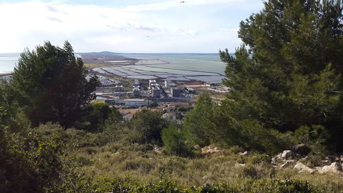 High angle view of trees and buildings against sky