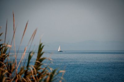 Sailboat in sea against clear sky