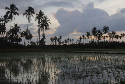 Scenic view of lake against sky during sunset