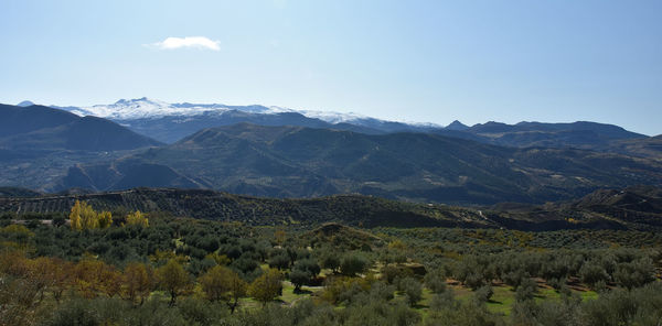 Scenic view of landscape against sky