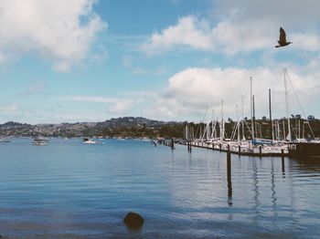 Boats in harbor