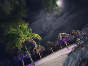 Low angle view of palm trees against sky at night