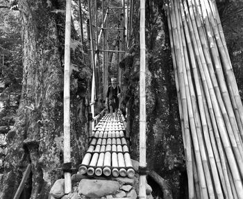 Full length of man walking on footbridge in forest