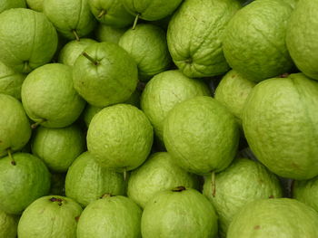 Full frame shot of guava