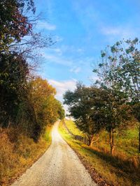 Empty road along trees and plants against sky