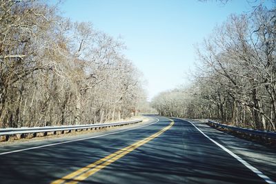 Road passing through trees